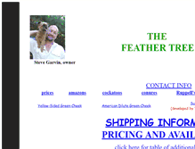Tablet Screenshot of feathert.com